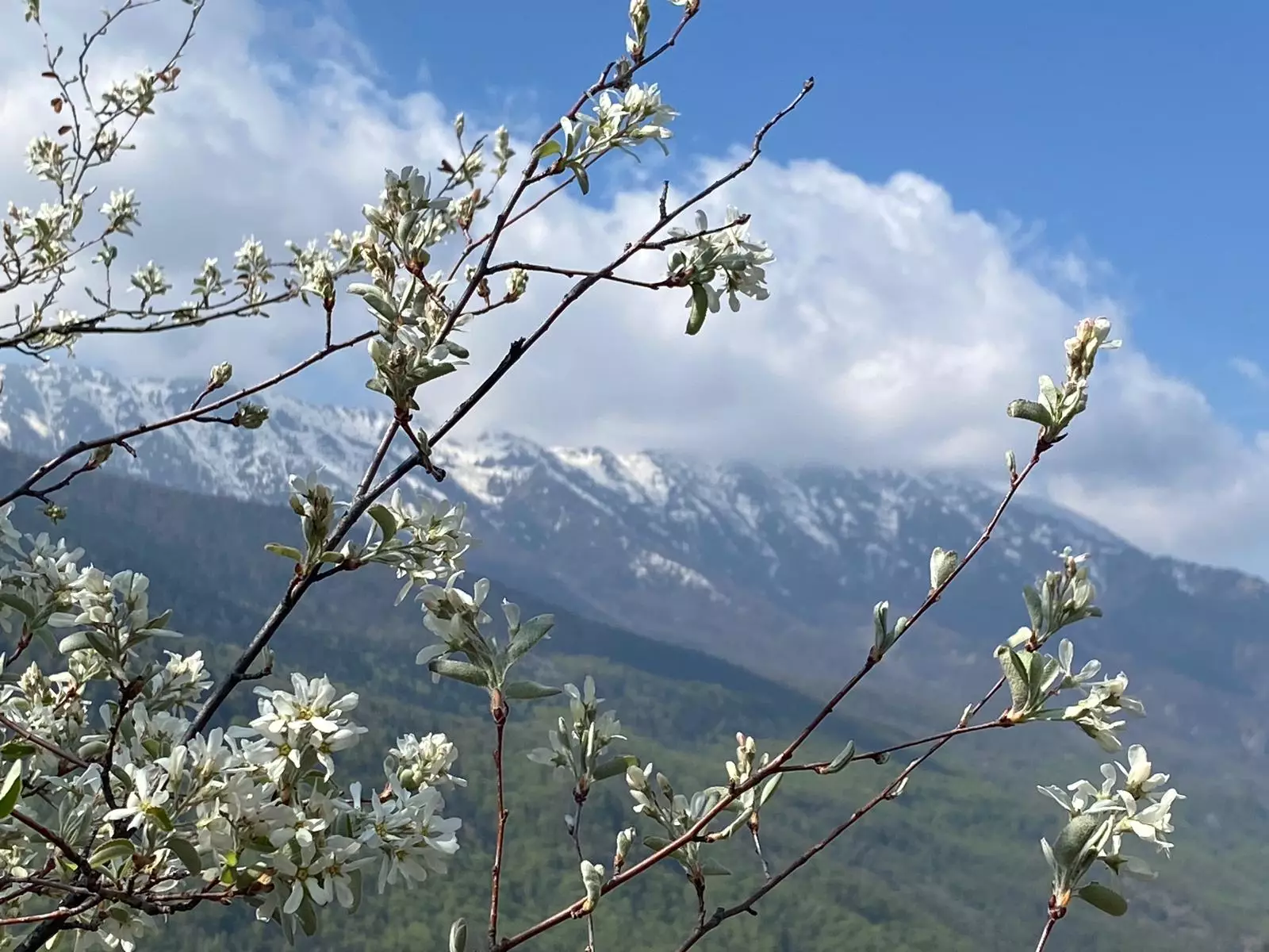 Unione Montana Valle Varaita